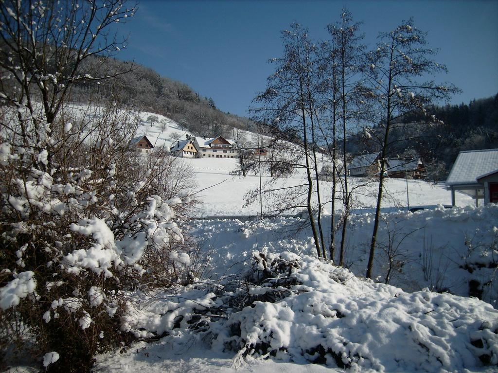 Finken, Gaestezimmer An Der Rench Oppenau Buitenkant foto