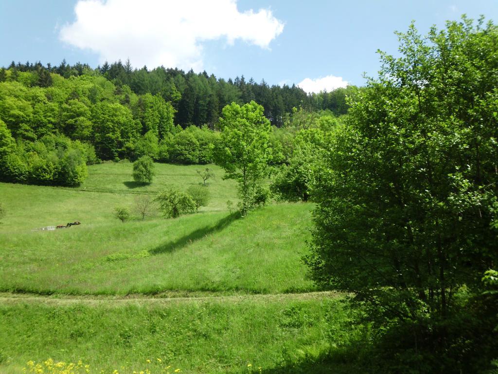 Finken, Gaestezimmer An Der Rench Oppenau Buitenkant foto